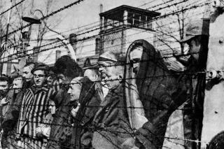 Ms de 500 madrileos fueron deportados a campos de concentracin nazis.