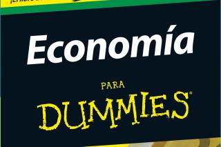 Economa para Dummies es un libro que nos ayuda a entender esas nociones.