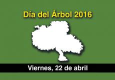 Día del Árbol 2016 en Pinto