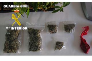 La Guardia Civil desarticula un punto de venta de drogas en Pinto y se incauta de 21 plantas de cannabis
