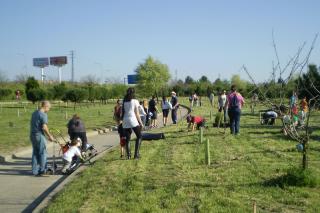 Vecinos y voluntarios plantan cerca de 300 rboles en el Da del rbol 2011 de SER Madrid Sur (94.4 FM)