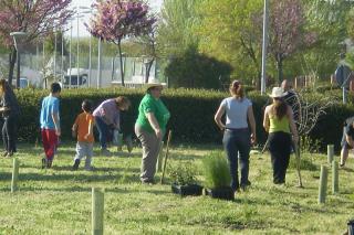 Vecinos y voluntarios plantan cerca de 300 rboles en el Da del rbol 2011 de SER Madrid Sur (94.4 FM)   