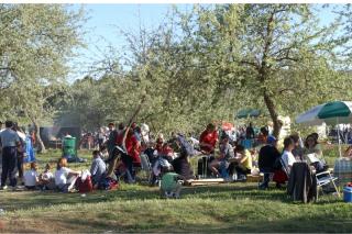 Valdemoro celebra la fiesta de San Marcos en el parque Bolitas del Airn.