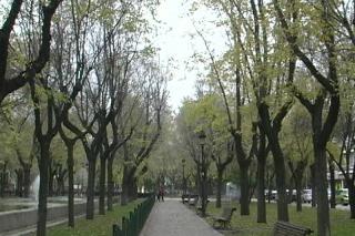 Parque del Egido: pulmn verde en el centro de Pinto.