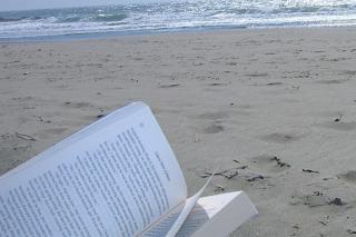 La lectura es una buena manera de pasar el tiempo libre en verano (foto Univ Rio Negro).