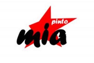 El MIA de Pinto critica que el acuerdo estatal sobre el techo de gasto penaliza a los Ayuntamientos.