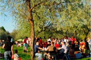 Valdemoro celebra San Marcos con una tortilla para 3.000 comensales en el parque Bolitas del Airn.