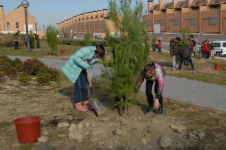 Escolares de tres colegios de Valdemoro plantan cien rboles.