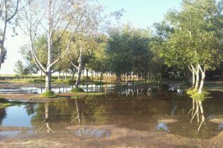 El PSOE de San Martn de la Vega alerta de las inundaciones en el parque Tierno Galvn