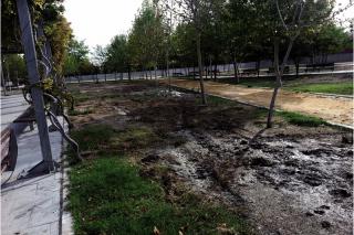 El PSOE de Pinto critica el abandono de los parques pblicos del municipio.