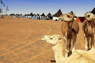 Un fuenlabreo entre los activistas expulsados de los campamentos saharauis de El Aaiun