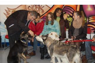 La Asociacin de Iniciativas para el Bienestar ensea las ventajas de adoptar a una mascota de la perrera municipal de Valdemoro.
