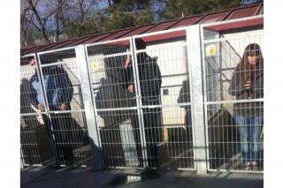 La Polica no desalojar por la fuerza a los encerrados en el Centro de Proteccin Animal de Parla.