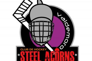 El equipo de hockey hielo Steel acorns de Valdemoro recaudar fondos contra la Anemia de Fanconi.