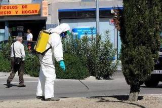 Ecologistas de Valdemoro piden que se dejen de utilizar los herbicidas y pesticidas que afectan a las abejas.