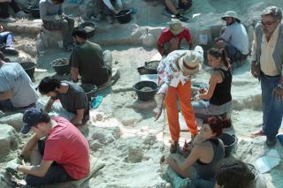 Continúan los hallazgos de fósiles en el Cerro de Batallones de Torrejón de Velasco 