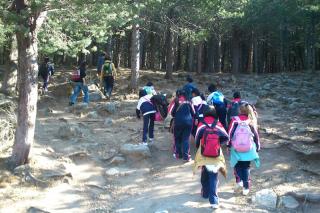 Un verano activo: hoy escalamos en la Sierra de Madrid