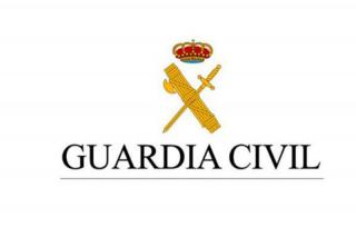 La Guardia Civil desmantela un grupo de extrema derecha en Grin en el que haba cuatro menores.