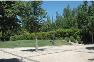 Getafe estudia crear un arboreto en Perales del Ro tras una propuesta de UPyD