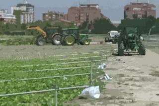 Los agricultores piden ayuda San Isidro, este jueves en Hoy por Hoy Madrid Sur