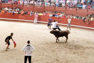 Los tres encierros de las Fiestas de Legans se saldan con un solo herido menos grave por asta de toro