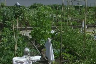 Agricultores de Fuenlabrada se forman sobre el uso de fertilizantes para reducir el impacto medioambiental