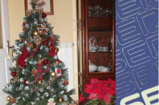 Cmo elegir el rbol de Navidad?, este lunes en Hoy por Hoy Madrid Sur