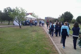 Un centenar de niños plantan casi 300 árboles en el Parque Juan Carlos I de Pinto con SER Madrid Sur