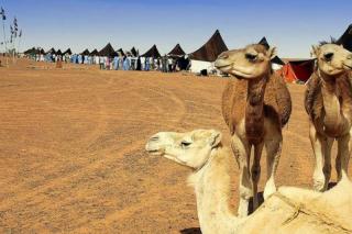 La asociación Río de Oro de Fuenlabrada hace un llamamiento para acoger más niños saharauis este verano 
