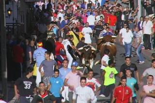 “En Fuenlabrada seguirá habiendo festejos taurinos, respetando la tradición de la ciudad”, según Robles 