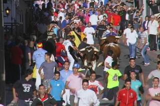 La Peña Antitaurina de  Fuenlabrada lleva recogidas 13.000 firmas para no financiar festejos taurinos en las fiestas 