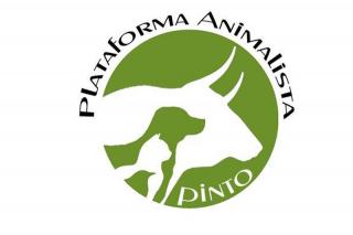 Crean en Pinto una Plataforma Animalista para defender los derechos de los animales