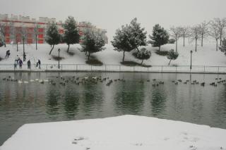 Tus fotos de la nevada en el sur de Madrid. Autor: Abraham Rojo