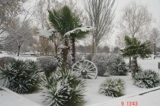 Tus fotos de la nevada en el sur de Madrid. Autor: Alberto Snchez