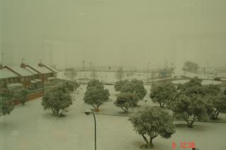 Tus fotos de la nevada en el sur de Madrid. Autor: Luisa Snchez