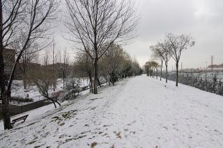 Tus fotos de la nevada en el sur de Madrid. Autor: M Carmen Navarro