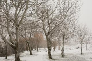 Tus fotos de la nevada en el sur de Madrid. Autor: Sebastin Navarrete