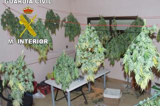 La Guardia Civil detiene en Ciempozuelos a seis personas por trfico de drogas y desmantelan una plantacin de marihuana en una vivienda