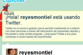 Reyes Montiel, Diputada de IU informa en directo de los plenos regionales desde Twitter