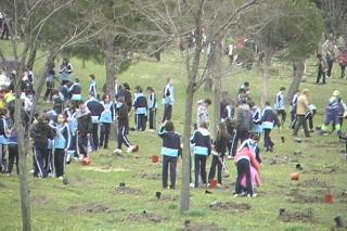 Estudiantes de Fuenlabrada plantan 1.000 rboles con motivo del da del rbol