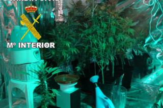 La Guardia Civil se incauta de ms de 5,5 kilos de marihuana en una vivienda de San Martn de la Vega.