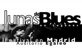 El auditorio Egaleo de Legans acoger en julio los principales conciertos del I Festival Lunas del Blues.