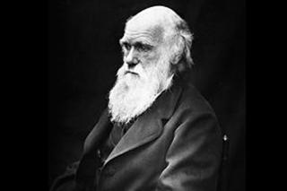 IU Parla pide que una calle de la localidad lleve por nombre Charles Darwin.